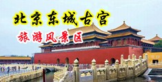 国产美女被操得淫叫啊!中国北京-东城古宫旅游风景区